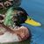 Donald Bergenholtz's profile image