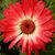 Leslie Butler's profile image