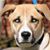 Kathy Driscoll's profile image