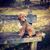 Sarah Jane's profile image