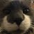 Jennifer Bischoff's profile image