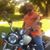 Angie Collins's profile image