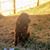 Cendee Millirans-Bellisle's profile image