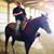 Alan Glatz's profile image