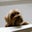 Jenny Lin's profile image
