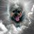 Kobie Wan Kenobie's profile image