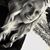 Nicole Beasley's profile image