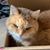 Ricki Hisaw's profile image