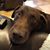 Mary Jones's profile image