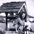 Cyndie Brown's profile image