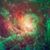 Merri Anderson's profile image