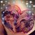 Pamela Grace's profile image