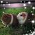 Vicky Smith's profile image