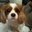 Kerri Koppel's profile image