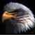 Carol Speegle's profile image