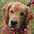 Terri McGlynn-Weiss's profile image