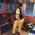 Carol Brown's profile image