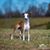 Kristen Addington's profile image