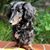 Kim Wright's profile image
