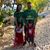 Sucia Dhillon's profile image