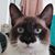 Sue Bailey's profile image