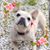 Kristina L. Aust's profile image