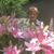 Joan LeVack Kennedy's profile image
