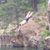 Forrest Scot Van Pelt's profile image