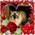Hermine Villegas's profile image