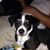 Janie Ruiz's profile image