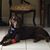 Yvonne Guell's profile image