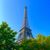 Peter J. Levesque's profile image