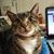 Deborah Darsie's profile image