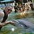 Bruce Sonny Cherelstein's profile image