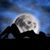 Craig White's profile image