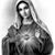 Michele Bryan's profile image