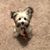 Charlette Nicholas's profile image