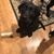 Jennifer Bennis's profile image