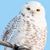 Jeff Heidel's profile image