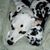 Luz E. Kessler's profile image