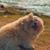 Luisa F. Villabona P.'s profile image
