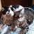 Debra Coffman's profile image