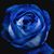 Esther Medina's profile image