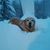 Gayle Lucianno's profile image
