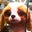 Bin Yang's profile image