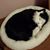 Virgie Posey's profile image