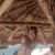 Crystal Throckmorton's profile image