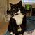 Ashley Andrews Cordes's profile image