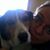Heidi Hellman's profile image