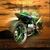 Lnl Coustom Cycles's profile image